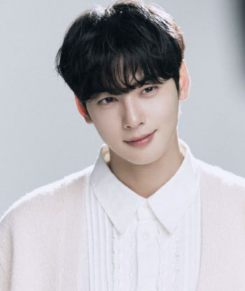 '200억 탈세 의혹' 차은우 직격한 변호사…"법인 명의여도 개인 소득"