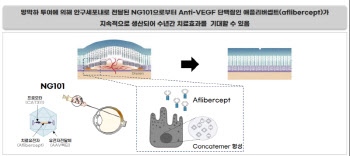 "경쟁사 황반변성치료제 치료 효과 수개월...NG101, 최소 5년 지속"[엘리시젠 대해부②]