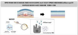 "경쟁사 황반변성치료제 치료 효과 수개월...NG101, 최소 5년 지속"[엘리시젠 대해부②]