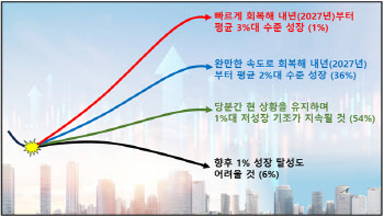 경제학자들 “우리 경제, 당분간 1%대 저성장 지속될 것"