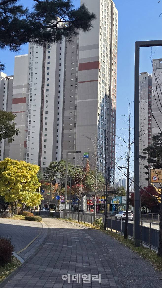 "동탄·구리 등으로 풍선효과 거의 없네"