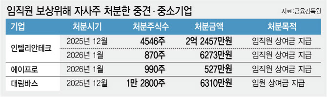 자사주 소각 않고 처분... 임원 '보너스 잔치' 벌인 중견기업들[only 이... - 뉴스 썸네일 이미지