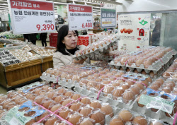 [포토] 계란 구입하는 소비자                                                                                                                                                                             