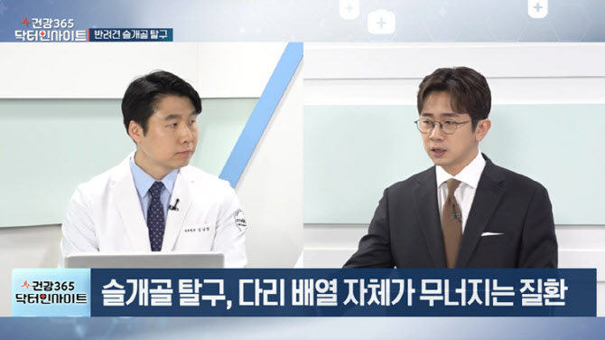 [건강365 닥터인사이트]잘 걷는 줄 알았는데…반려견 슬개골 탈구 신호는?