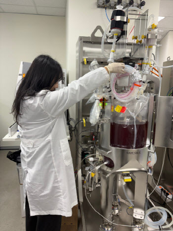 듀셀, 세계 최초 50ℓ 규모 배양기서 인공혈소판 생산 성공