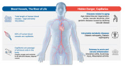 CellBioN, Quracle Spark Commercialization Hopes[K-bio Pulse]