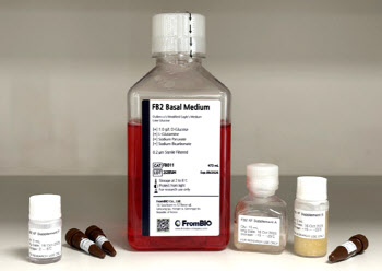 프롬바이오, 무혈청 세포 배양 배지 'FB-2' 개발 완료…상용화 속도