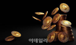 비트코인 경고등…“7만불까지 급락 우려”