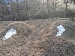 조상묘에 굵은소금 뿌려놔…묘 11기 훼손한 외지인들