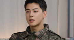 ‘탈세’ 차은우를 둘러싼 오해…‘형사처벌’ 대상 아니다[only 이데일리]