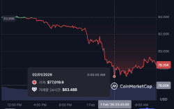 “비트코인 8년 만에 최장기 하락 온다”…5만불 경고등