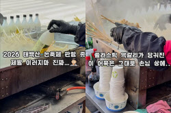 어묵탕에 플라스틱 막걸리병 '푹'…태백산 눈축제 위생 논란