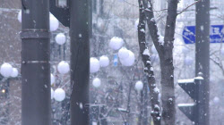 눈 쌓인 출근길, 바람도 강해…수도권 최대 5㎝ 적설[오늘날씨]