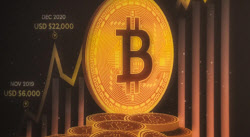 비트코인 7만5000달러도 무너졌다…15개월여 만에 처음