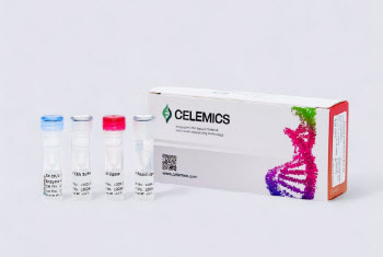 Celemics hits limit before after hours filing[K-Bio Pulse]