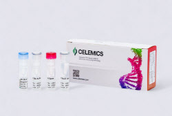 Celemics hits limit before after hours filing[K-Bio Pulse]