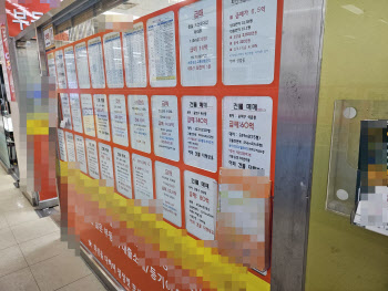 "강남 집주인이 급하게 내놨어요" 가보니…가격 '찔끔' 내려