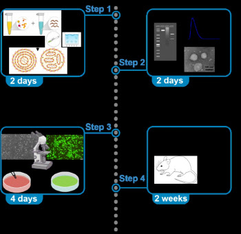 지노믹트리의 고유 mRNA 전달용 지질 나노입자 제조 기술, 국제 저널에 게재