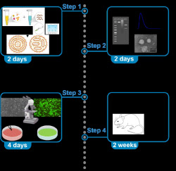 지노믹트리의 고유 mRNA 전달용 지질 나노입자 제조 기술, 국제 저널에 게재