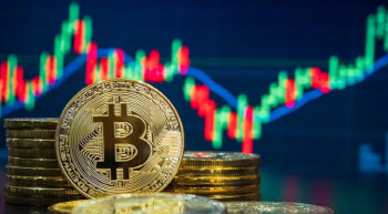 비트코인 팔까, 살까, 버틸까…전문가들 의견 들어보니