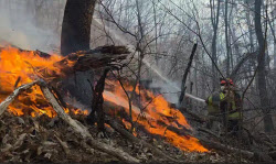 문무대왕면 산불 진화율 60%→23% ‘급락’…강풍에 진화 난항(종합)