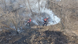 경주 문무대왕면 산불, 진화율 85%…강풍에 진화 '난항'