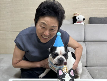 연재이미지