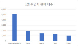 테슬라, 1월 2천대 팔며 '연초 기세' 지속…BYD도 존재감 확대