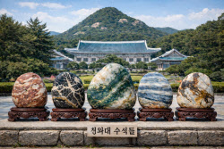 [靑수석열전]①홍익표 정무수석...‘차이를 좁힌다’ 왕십리 장동건