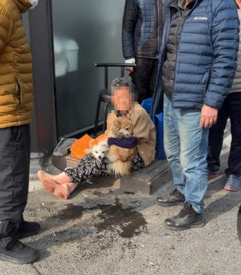 화재 현장서 멈춘 반려견 심장…소방대원이 '심폐소생술'로 살려냈다