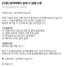 네이버페이 결제 시 실패 오류···"긴급 확인중"