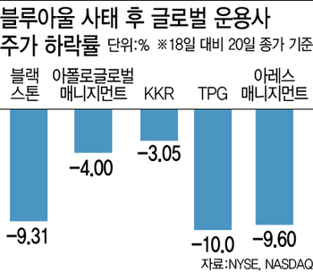"개별펀드 관리실패" vs "구조 취약성 노출"…블루아울 사태 본질은