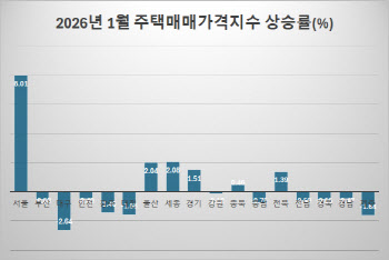 국정 책임자가 지방에 집을 산다면?[현장에서]