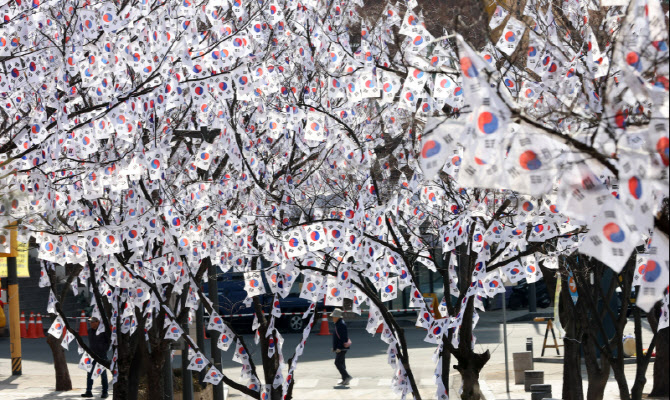 3ㆍ1절 앞두고 조성된 효창공원 태극기거리                                                                                                                                                          