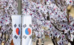 [포토]3ㆍ1절 앞두고 활짝핀 태극기 꽃                                                                                                                                                                    