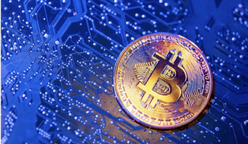 비트코인 근 한달 만에 최고…금값 추락에 숏커버링 유입