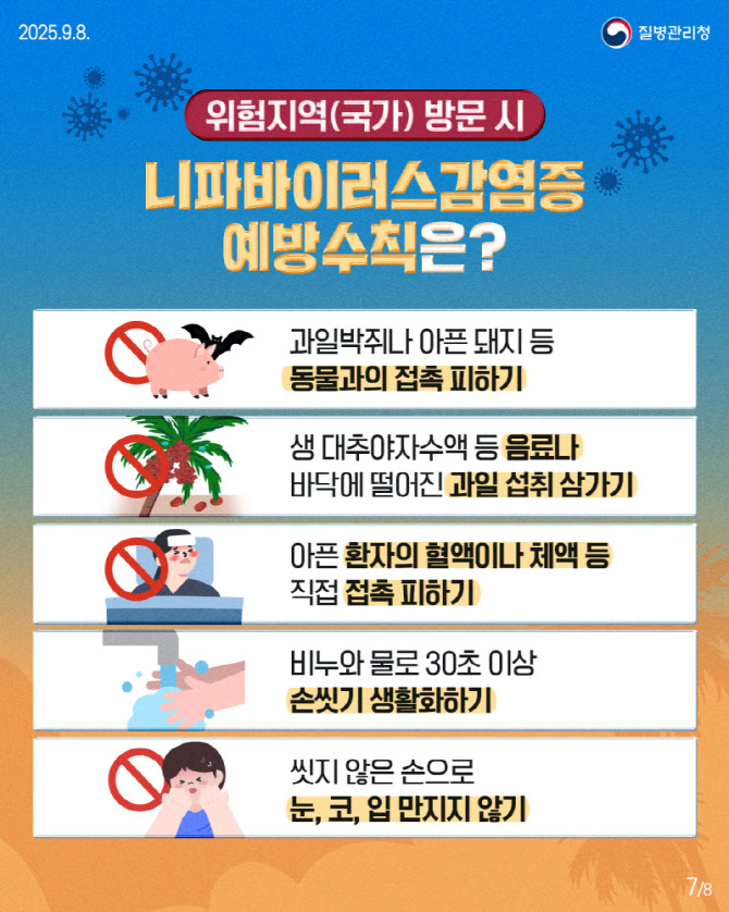 치명률 최대 75% '니파바이러스'...정부, 국산 백신 개발 본격화 - 뉴스 썸네일 이미지