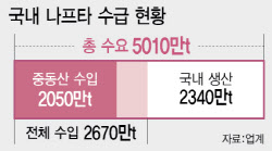 석화 연쇄 셧다운 위기...정부, 나프타 ‘수출 제한’ 검토[only 이데일리]