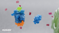 바이오플러스 '휴그로' 성장인자 기반 원료 제시…"세포 중심 접근"