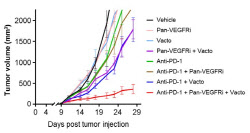 메드팩토, 美AACR 참가…대장암 삼제병용 전임상 성과 발표