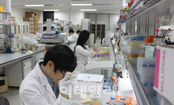 ‘두경부암 판 흔든 ORR 70%’…티움바이오 TU2218, 글로벌 딜 '카운트다운'