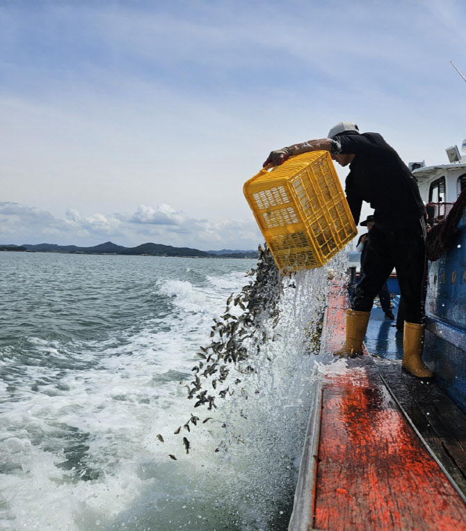 우럭값 비싼 이유 있었네…고수온에 생산량 '뚝'