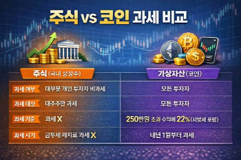가상자산 과세, 필요하지만 지금은 아니다