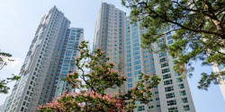 강남은 강남…집값 꺾였다더니 신고가 행진