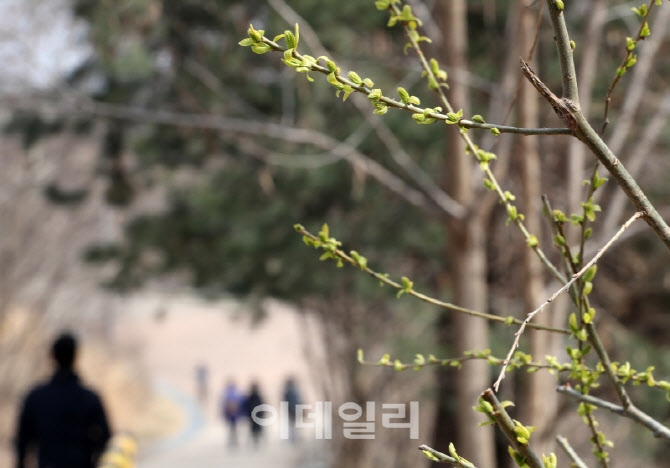  봄이 왔어요~                                                                                                                                                                                     