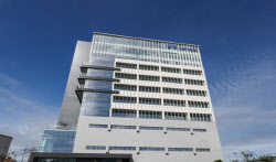 엎친 데 덮친 위기…24만 개미 물린 '배터리 신화' 금양, 상폐 갈림길