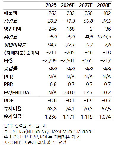 SK아이이테크놀로지, 판매 둔화에 역성장 불가피…목표가↓-NH