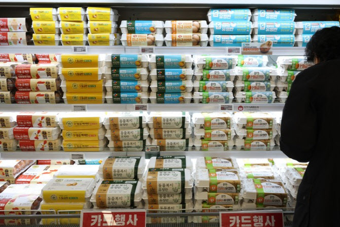 정부, 계란값 담합 협회 설립취소 검토…산지가격 공공기관이 제공