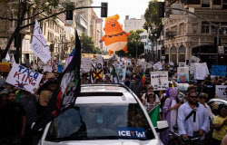 '노 킹스'…美전역에 800만명 모였다