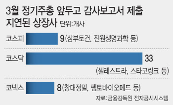 정기주총 앞두고 감사보고서 지각 여전…공포에 떠는 개미들